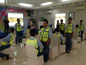 Pama 5-13 Des batch 1